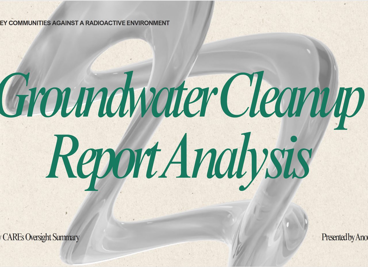 LLNL 2024 Groundwater Cleanup Report Analysis