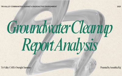 LLNL 2024 Groundwater Cleanup Report Analysis