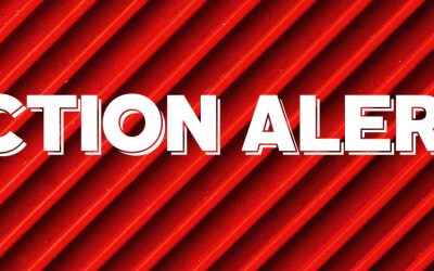 ¡Se Necesita Actuar! Día ​​Nacional de Llamadas Telefónicas el 17 de Diciembre para Detener la Nueva Carrera Armamentista Entre Estados Unidos y Rusia.