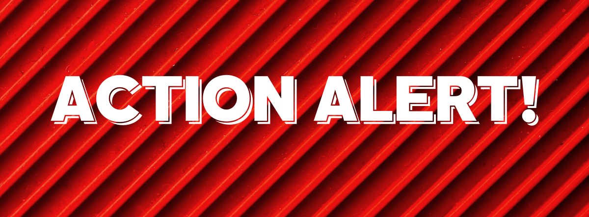 ¡Se Necesita Actuar! Día ​​Nacional de Llamadas Telefónicas el 17 de Diciembre para Detener la Nueva Carrera Armamentista Entre Estados Unidos y Rusia.