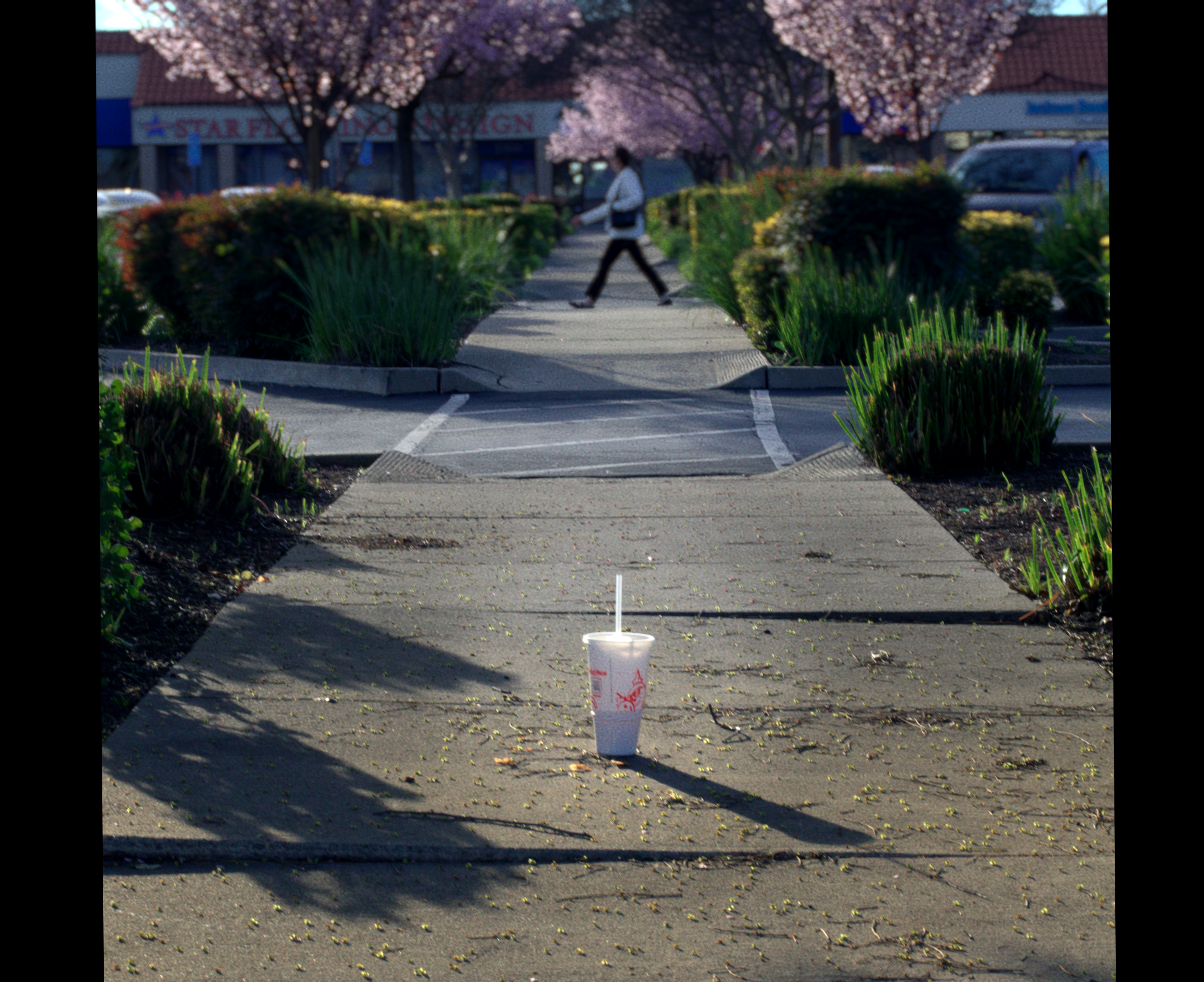 Inconvenient Placement- Ellie Creighton