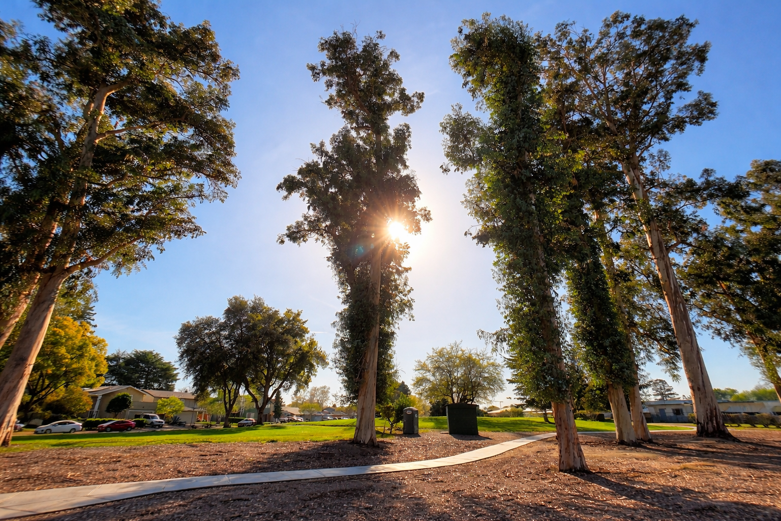 Beauty Beneath the Surface- Makaela Gabriel